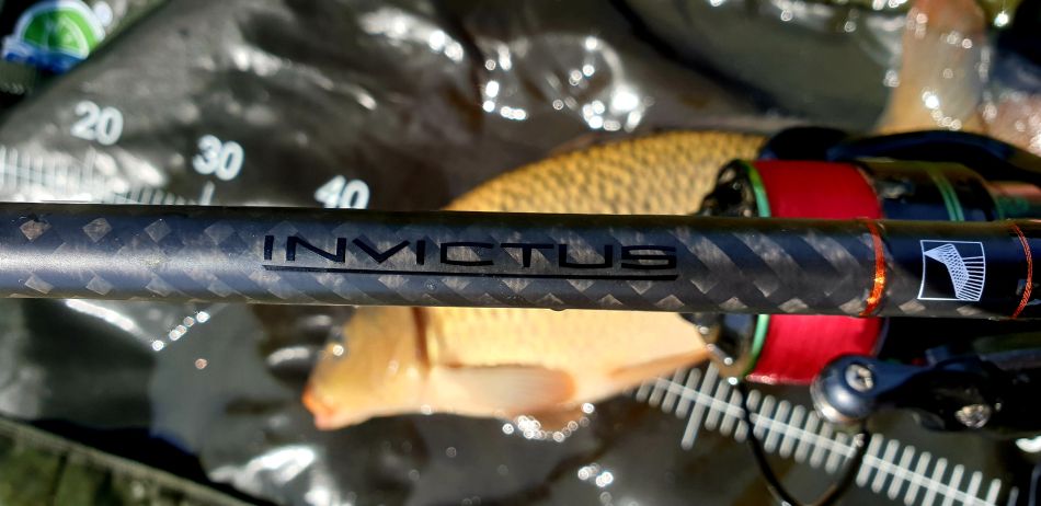 sportex invictus carp