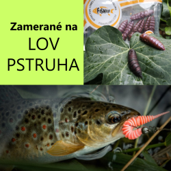 lov pstruha