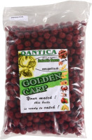 Boilies Golden Carp QANTICA 1kg