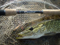 Quantum prvlaov prt Magic Perch