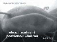 podvodn kamera sliaca na snmanie pod vodou