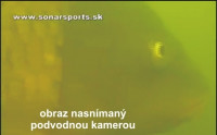 detail na obraz nasnman podvodnou kamerou