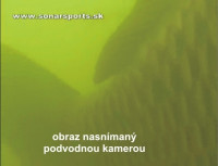 nhad na fotku nasnman cez podvodn kameru