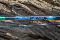 Udica na sumca Nemesis Catfish 2,4m / 200-500g